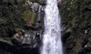 magelang