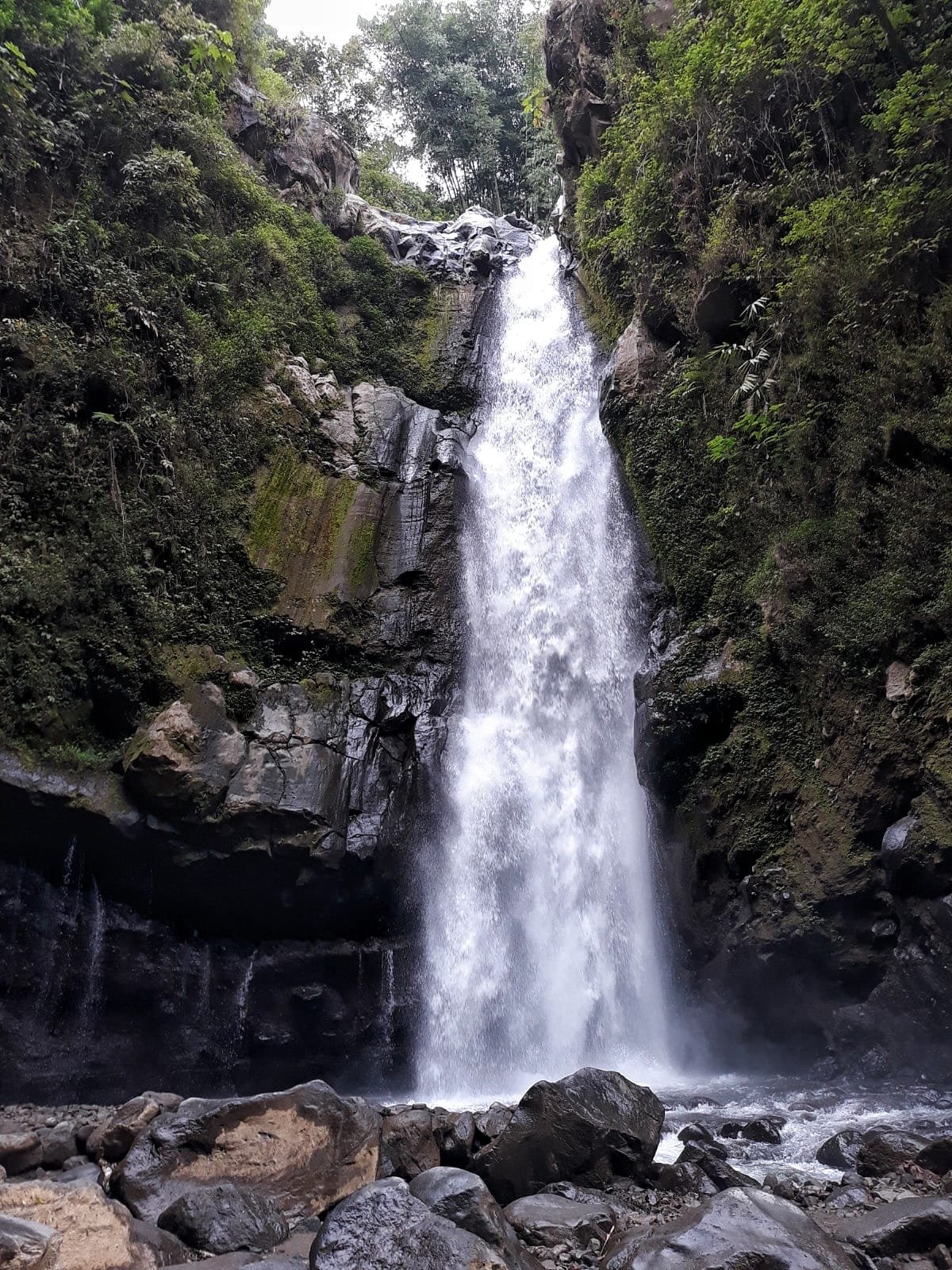 magelang