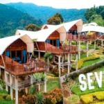 puncak