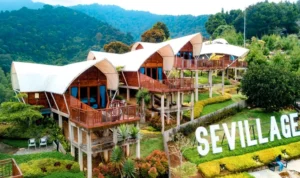 puncak