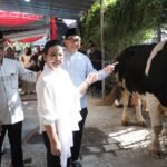 Agustina, Wali Kota Semarang menyerahkan hewan kurban di kompleks Balaikota Semarang/istimewa