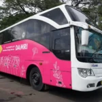 pink zone