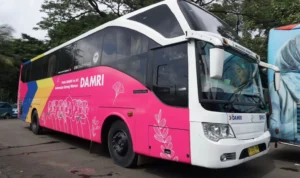 pink zone