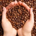 harga kopi