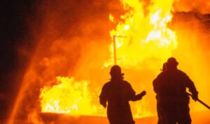 Si Jago Merah Lalap Kandang di Blora, 15 Ribu Ekor Ayam Hangus Terbakar