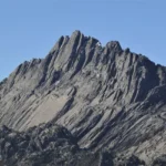 cartensz