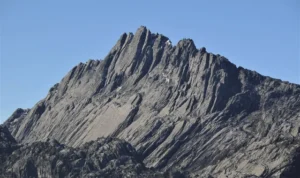 cartensz