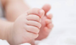 Sosok Jasad Bayi Laki-laki Ditemukan di Kebun Warga Kudus