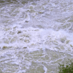 Jatuh dari Jembatan, Anak 7 Tahun di Demak Hilang Terseret Arus Sungai Kalijajar