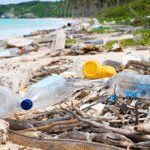 Sampah Plastik Ternyata Bisa Diubah Jadi Eco Hex Brick