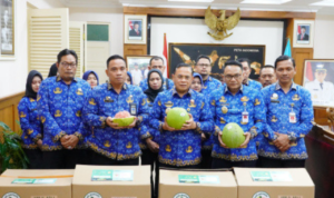 jeruk-pamelo Pemkab Pati Distribusikan Jeruk Pamelo ke Kepala-kepala Daerah di Jateng