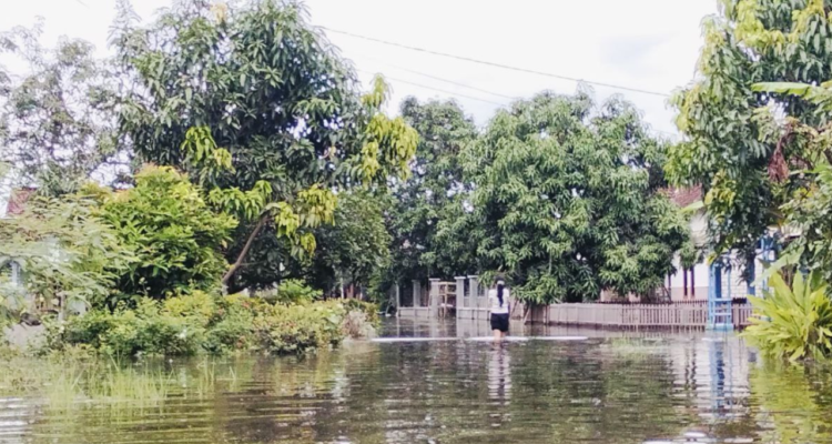 Fasum Rusak dan Lahan Pertanian Terendam, Banjir di Pati Sebabkan Kerugian Hingga Ratusan Miliar Rupiah