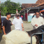 Pemkab Rembang Dorong Peningkatan Kualitas Ternak Agar Jadi Komoditas Bernilai Tinggi