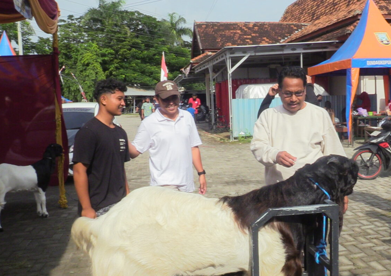 Pemkab Rembang Dorong Peningkatan Kualitas Ternak Agar Jadi Komoditas Bernilai Tinggi