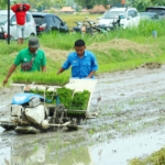 Rembang Catatkan Surplus Beras Hingga 30 Bulan