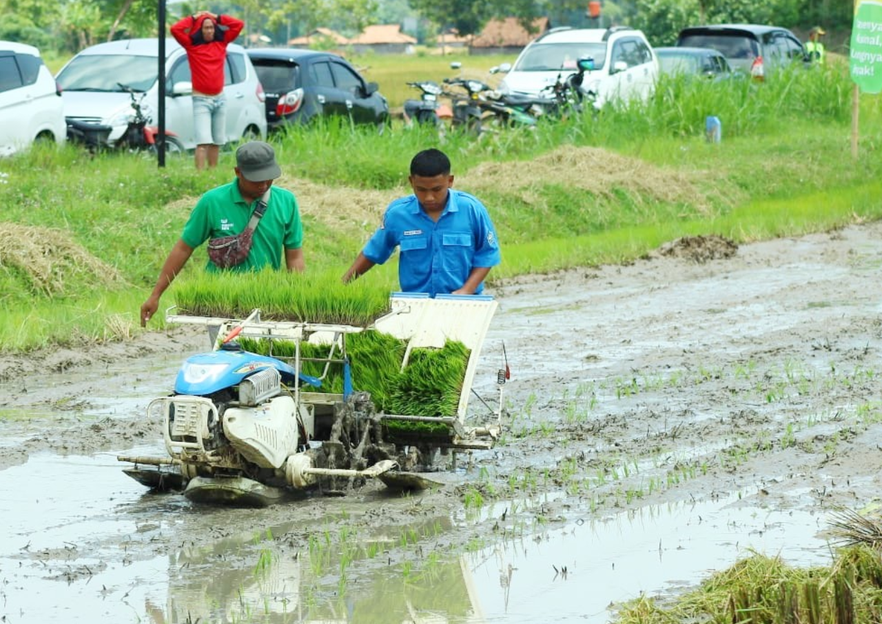 Rembang Catatkan Surplus Beras Hingga 30 Bulan