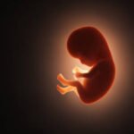 janin-bayi Sosok Janin Bayi Perempuan Ditemukan dalam kaleng Roti di Semarang