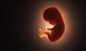 Sosok Janin Bayi Perempuan Ditemukan dalam kaleng Roti di Semarang