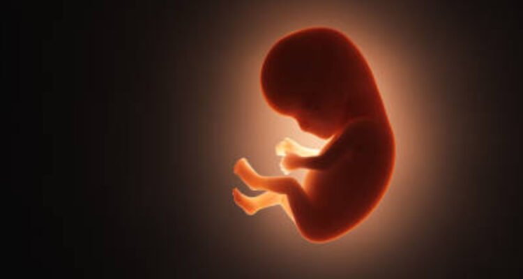 janin-bayi Sosok Janin Bayi Perempuan Ditemukan dalam kaleng Roti di Semarang