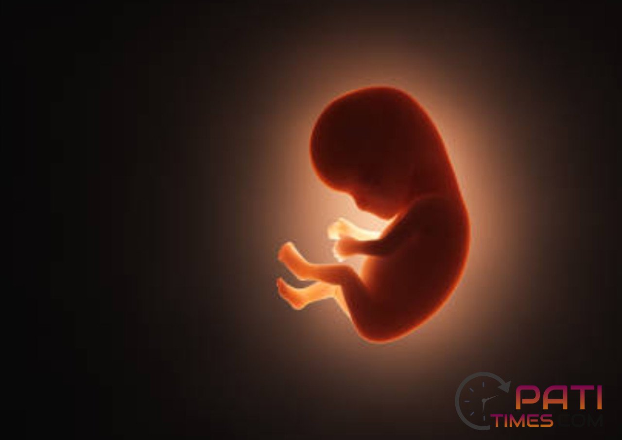 Sosok Janin Bayi Perempuan Ditemukan dalam kaleng Roti di Semarang