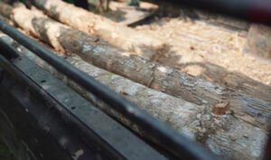 Truk dari TPK Banjarwaru Blora Disetop, Diduga Angkut Kayu Ilegal