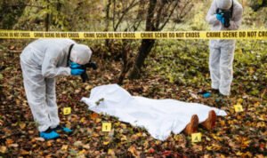 Heboh Penemuan Kerangka Manusia di Ladang Desa Pidodo Wetan Kendal