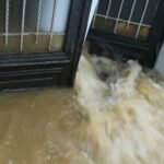 banjir Tanggul Sungai Jebol, 2 Desa di Kecamatan Batangan Terendam Banjir