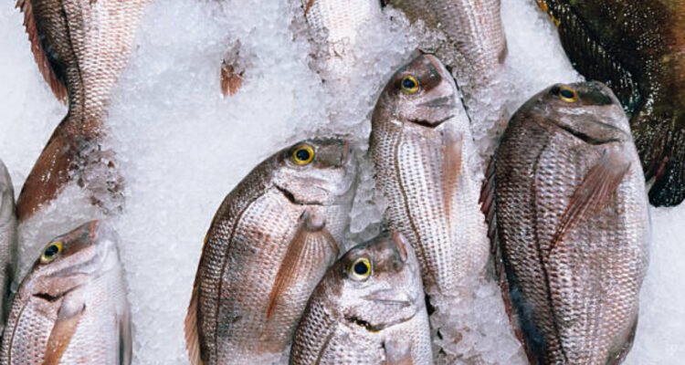 Pelaku Penipuan Pembelian Ikan di Pati Gunakan Uang Hasil Kejahatan untuk Main Judol