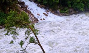 Perempuan Ditemukan Tewas di Tepi Sungai Silandak Ngaliyan, Diduga Hanyut Terbawa Banjir