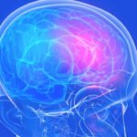 Bocah TK Ditemukan Meninggal Dunia di Selokan, Diduga karena Gejala Epilepsi