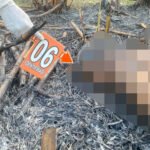 kebakaran Petani di Pati Tewas Terjebak Api Saat Bersih-bersih Lahan