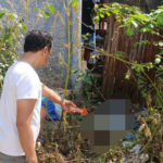 Pemilik Bengkel Las Temukan Jasad Lansia di Semak-semak Desa Sidoarjo Pati